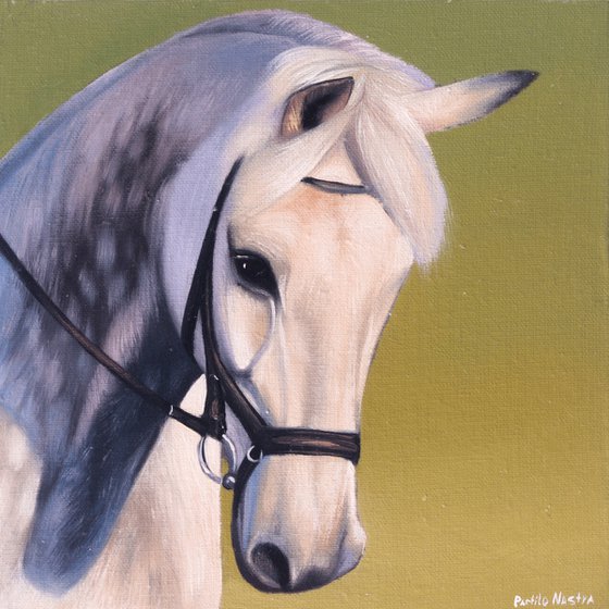 Horse Portrait 91