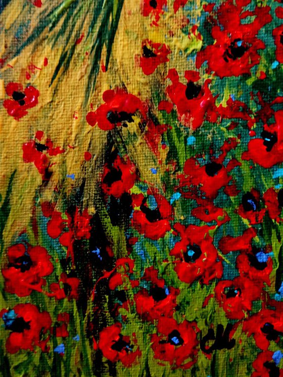 Lost in a field of poppies..