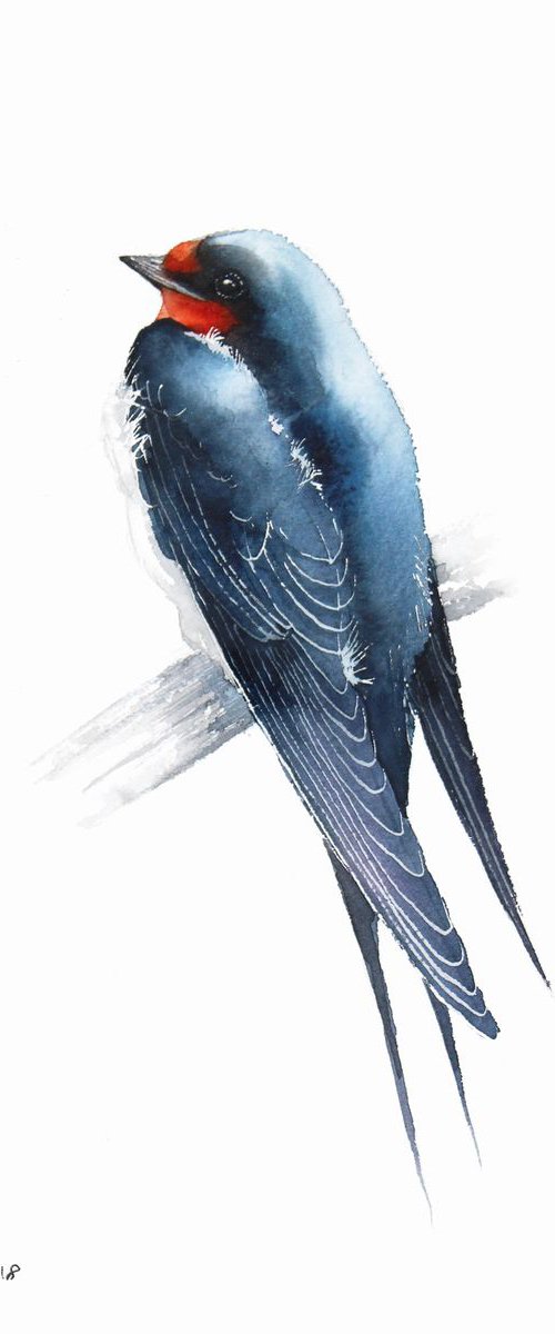 Barn Swallow, 20x30cm, watercolour painting by Karolina Kijak