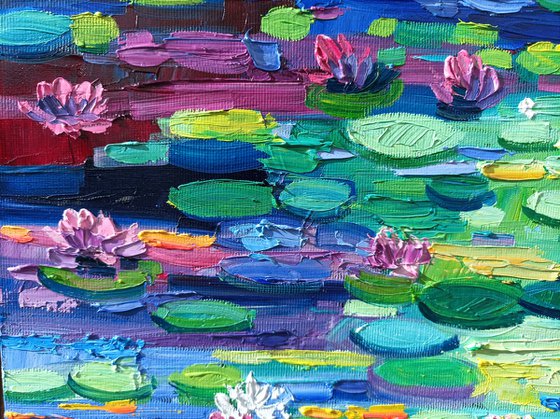 Water lilies reflections