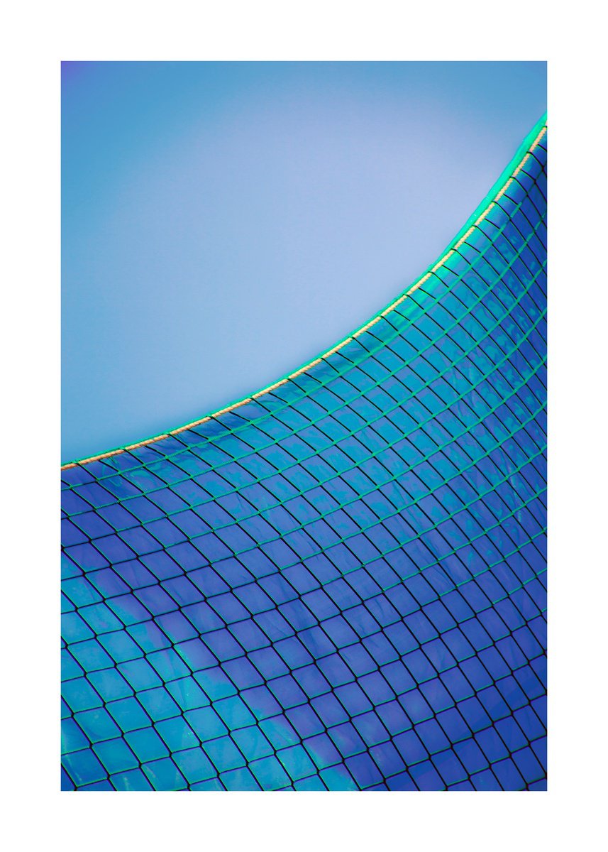 Geometric Abstract Photograph By Beata Podwysocka, 28 X 39, Enmeshed, Original Artwork