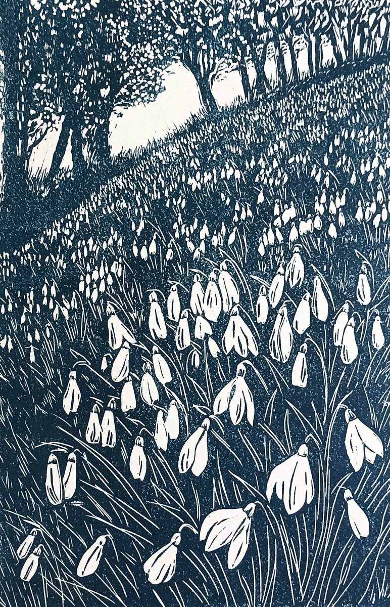 Snowdrop Wood by Jo Biggadike