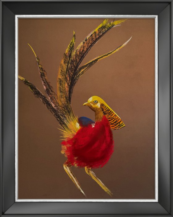 Golden phaesant Soft Pastel