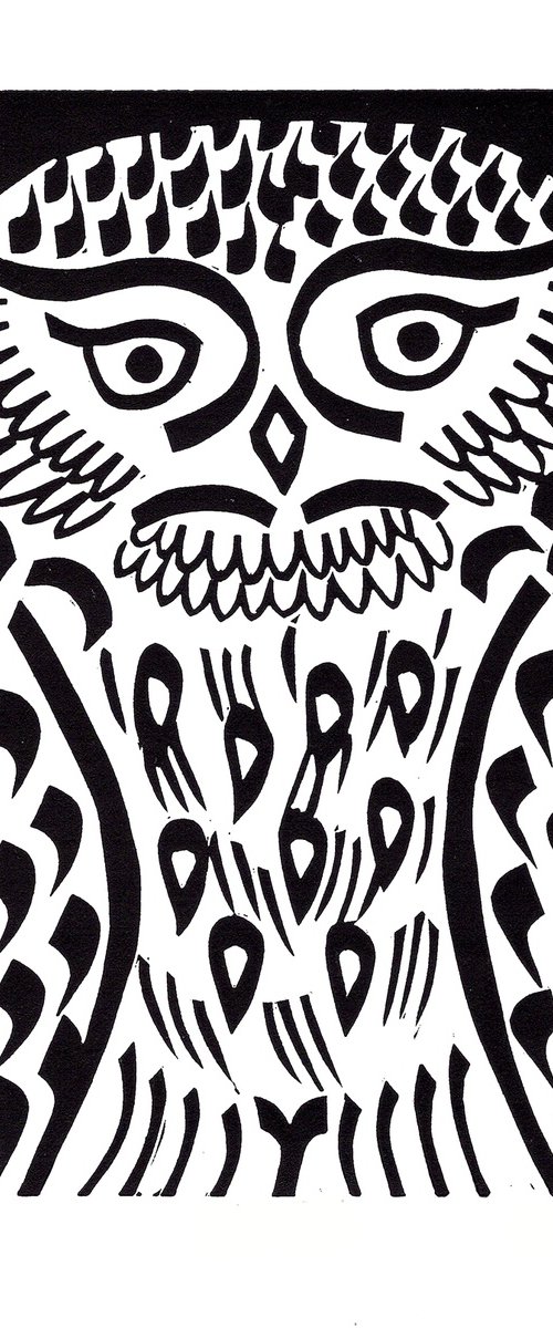 Little Owl b/w (edition of 30) by Catherine Cronin