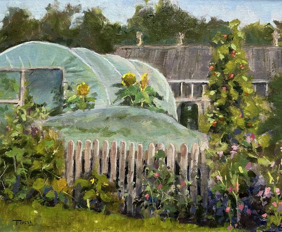 Growing Season