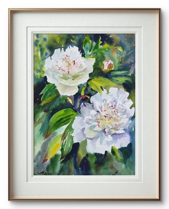 Peonies flowers