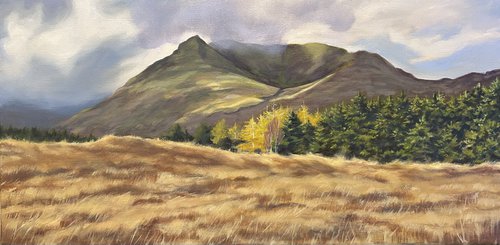 Mountain View , Co. Mayo landscape by Alina Karpova