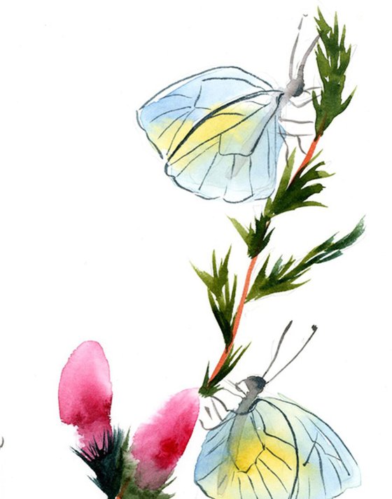 Butterflies on the flower