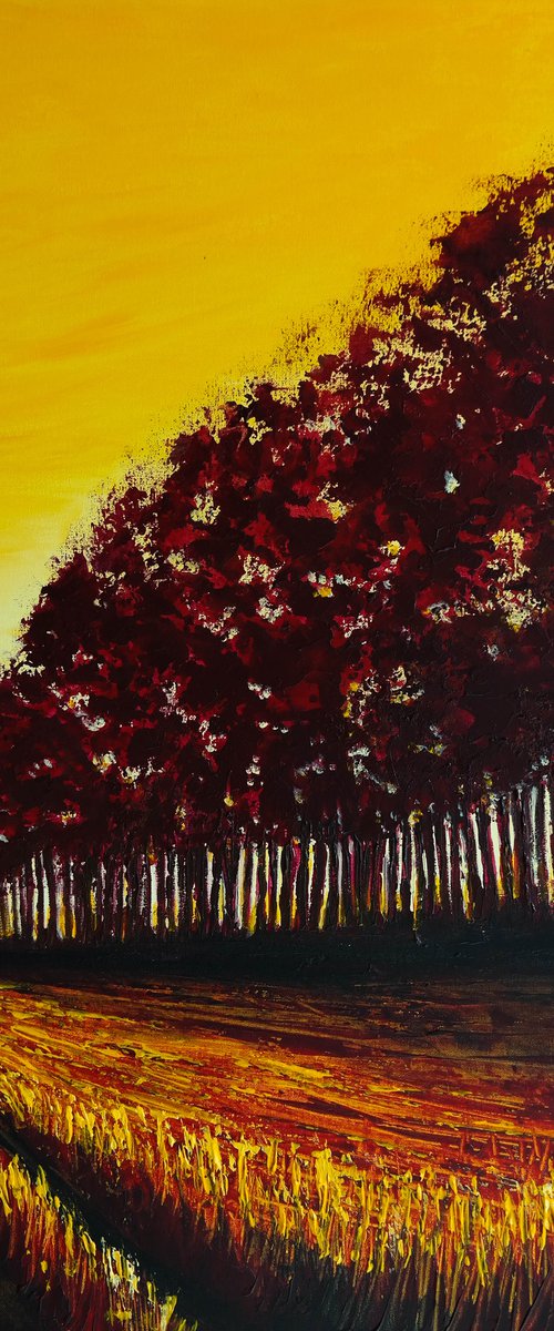 Golden Sunrise-  Fields and Colors Series by Danijela Dan