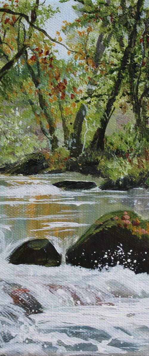 Golitha Falls, Cornwall by Valerie Jobes