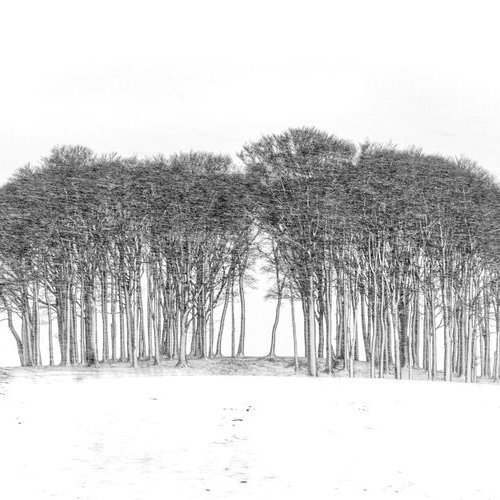 Nearly home Trees by Paul Nash