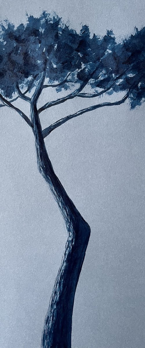 Blue pinetree by Cadiou Frederic