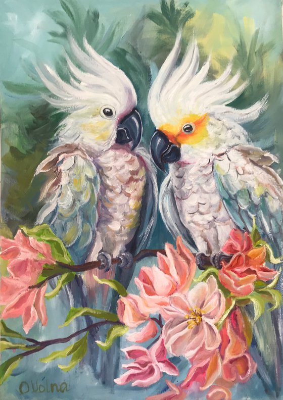 White parrots