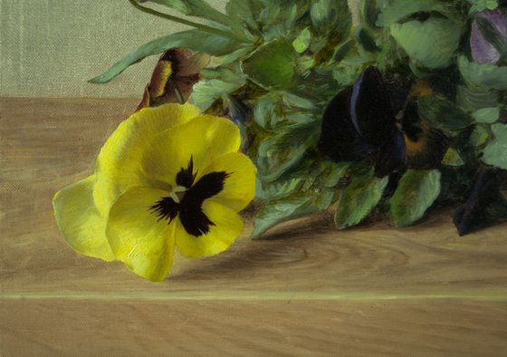 Pansies, 50x80cm, oil on canvas, 2018, original classic still life