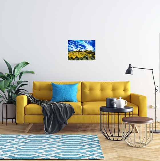 Ukraine Painting Landscape Original Art Sunflower Field Small Oil Artwork Home Wall Art 16 by 12" by Halyna Kirichenko