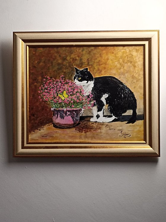 cat, flowers and butterfly