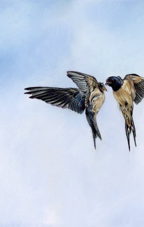 Fligh high by Annika Schmitt