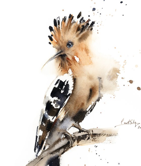 Hoopoe Bird Watercolor Painting