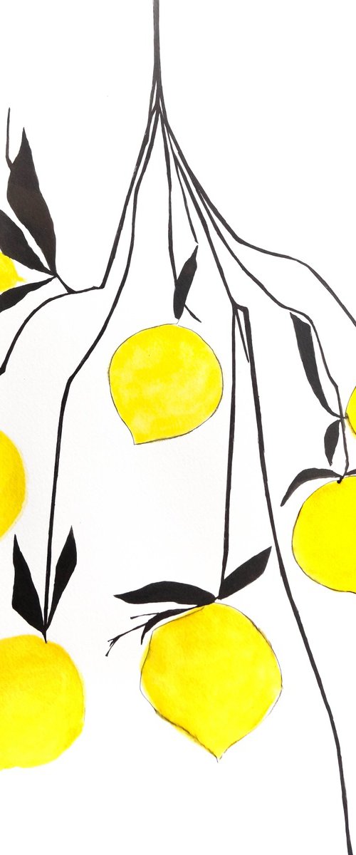 Lemons by Nadia Moniatis