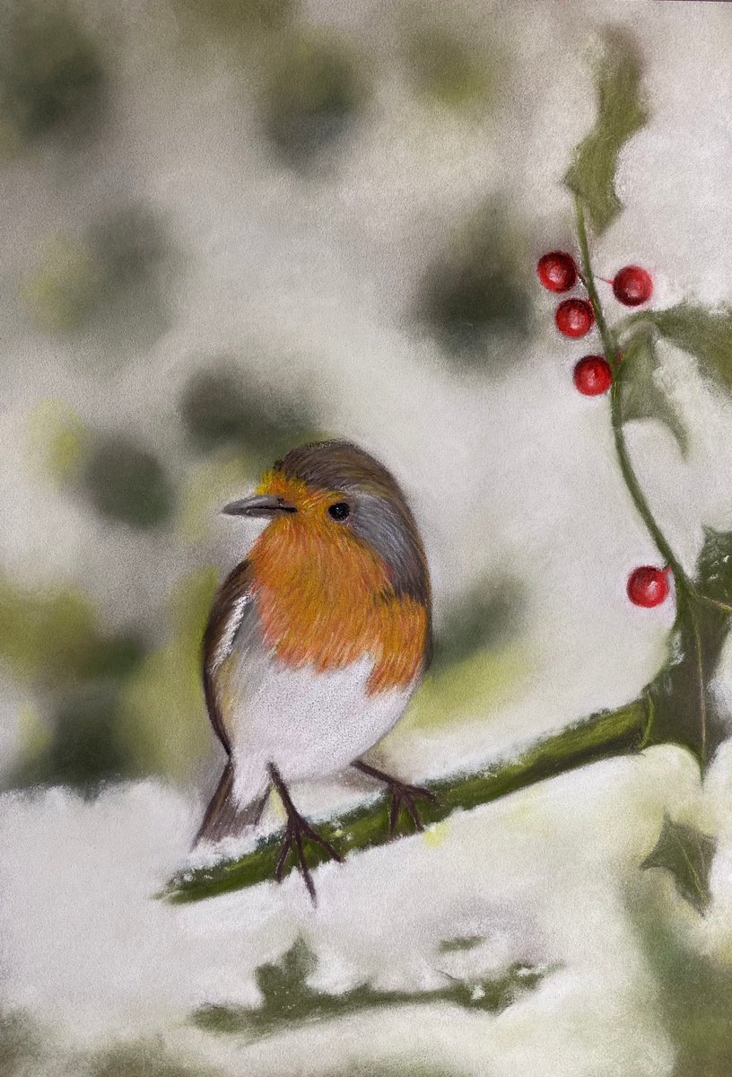 Robin in snow by Maxine Taylor