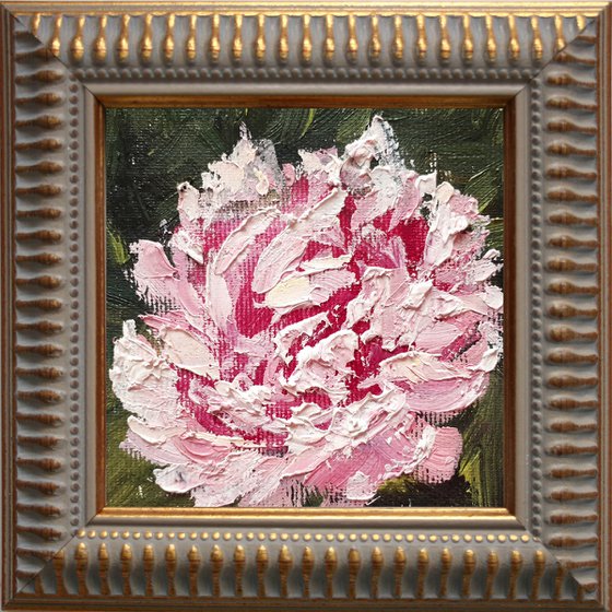 Peony 02