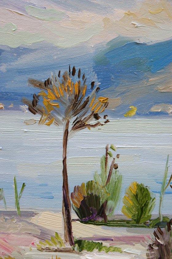 Afternoon light near the lake