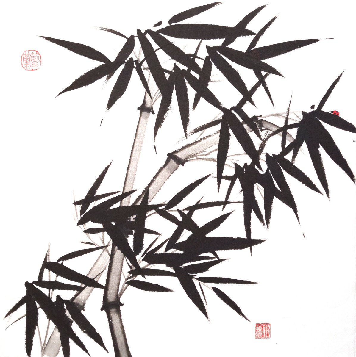 Impressionistic Botanical Ink Drawing By Ilana Shechter, 14 X 14, Two Bamboos With A Red Ladybug, Original Artwork