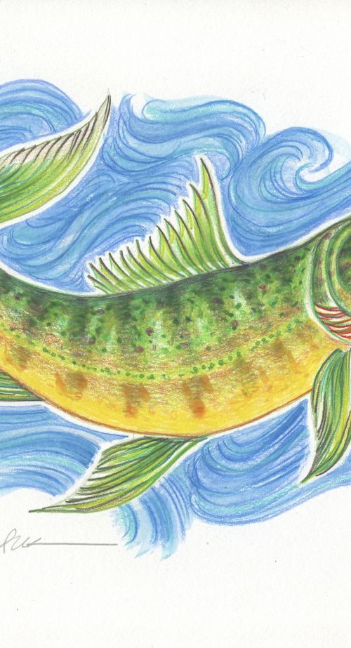 Fanciful Fish by Stephanie Przybylek