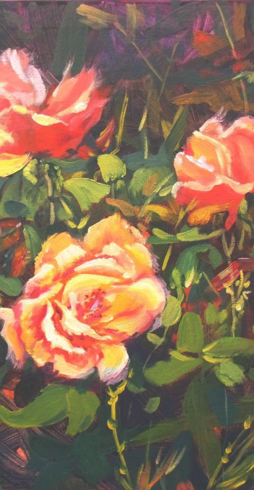 Roses by Elena Sokolova