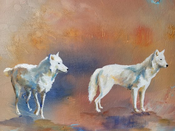 Two wolves in the sunset