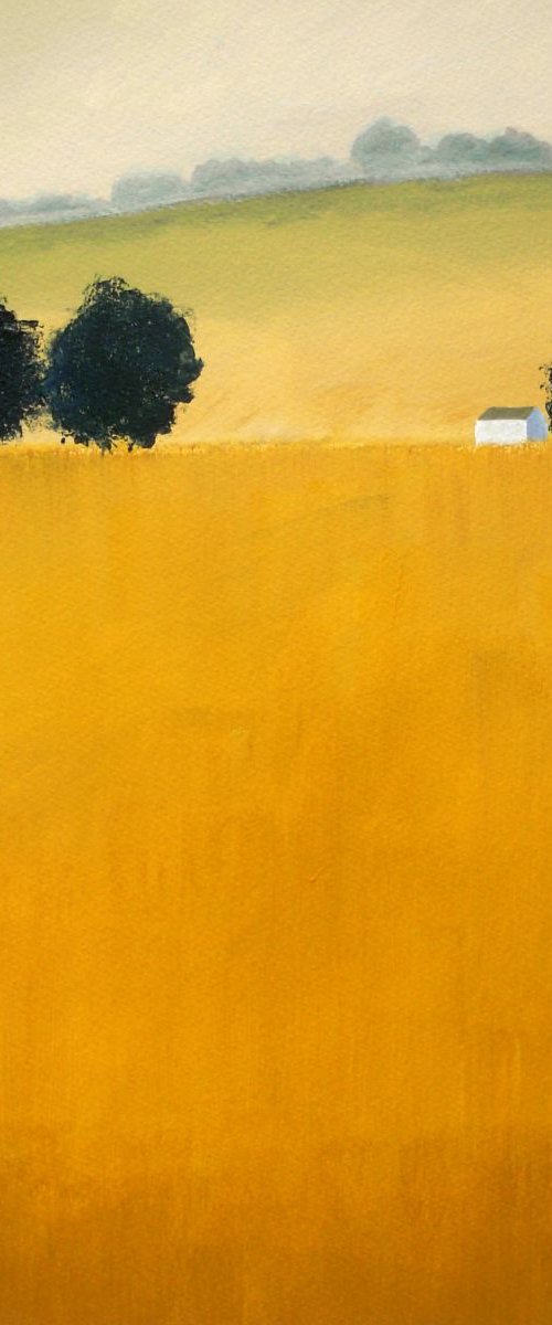Wheatfield 2 by Jan Rippingham