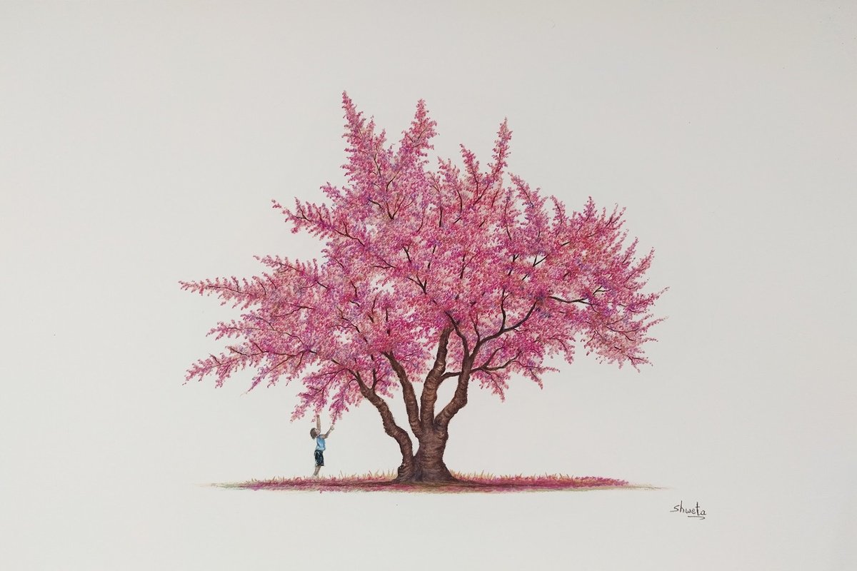 Photorealistic Landscape Pencil Drawing By Shweta Mahajan, 18 X 12", Himalayan Cherry Blossom, Original Artwork