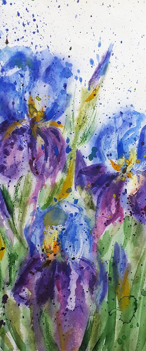 Irises by Anastasia Kozorez