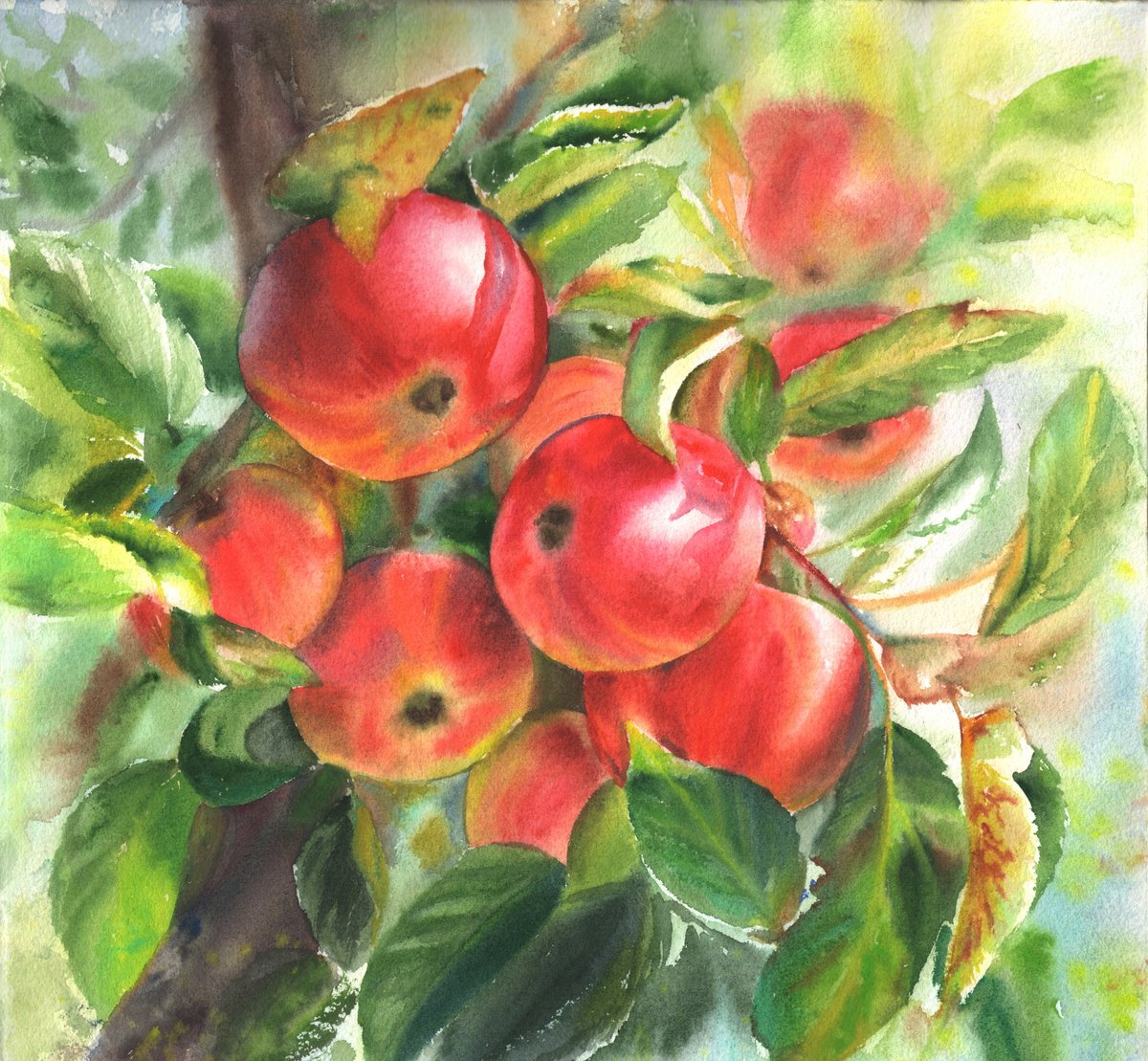 Impressionistic Watercolour , Juicy Apples By Maryna Boiko, 12 X 12, Artwork For Sale On Artfinder