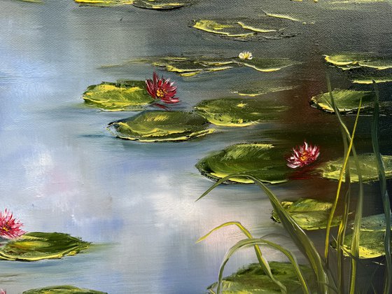 Water Lilies on the Mirror Lake