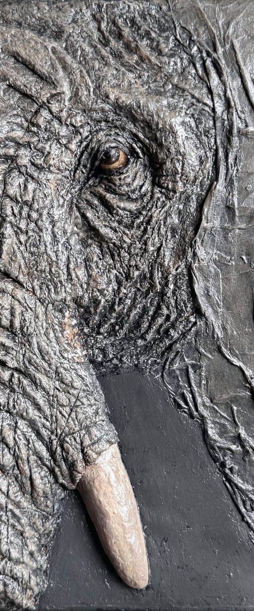 Elephant by Sol Vil