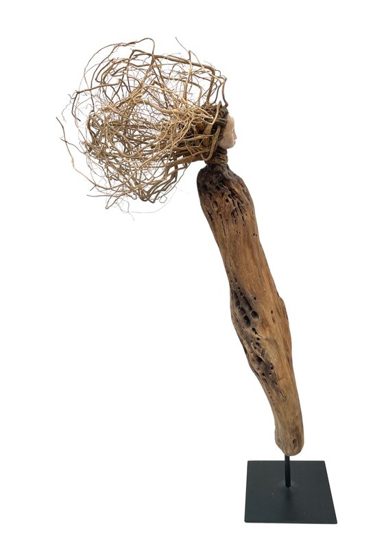 Dryad, Ostréïdes series