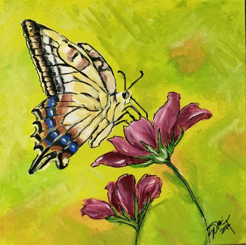 Tiger Swallowtail Butterfly by Carolyn Shoemaker (Soma)