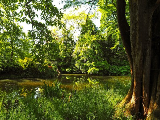 Arboretum 3, Vallée-aux-Loups