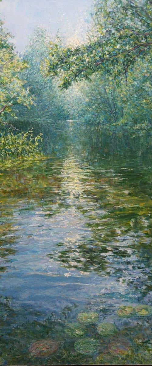 Where the Light settles by Ekaterina Orlova