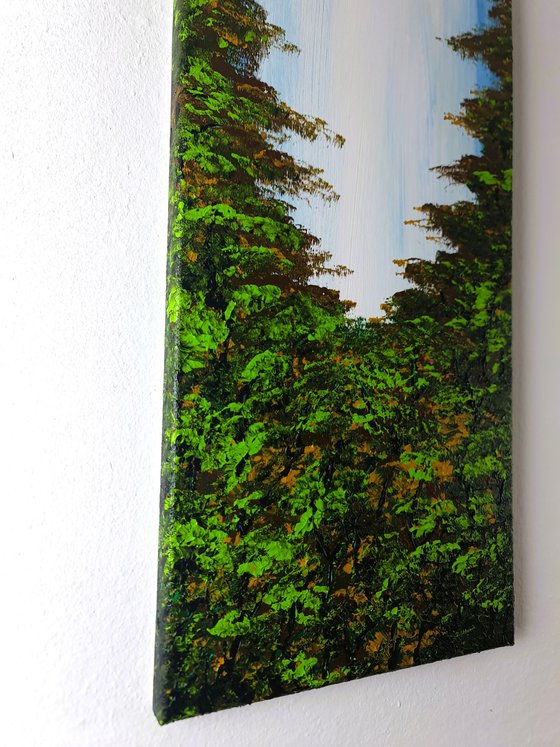 Nice Forest 3