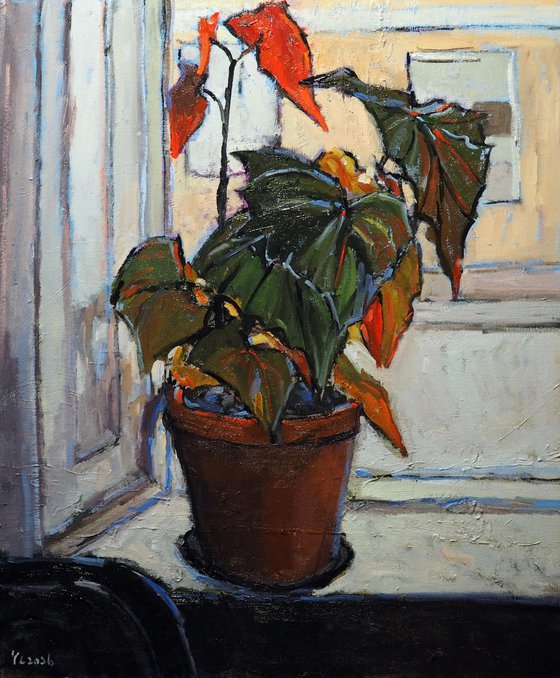 A Corner of Daylight