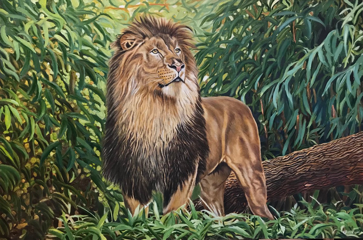 Original oil painting Lion in bamboo - 120x80 cm (2020) by Evgeniya Roslik