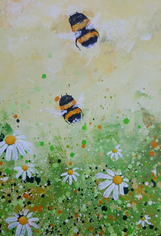 Bumble Bees & Daisies