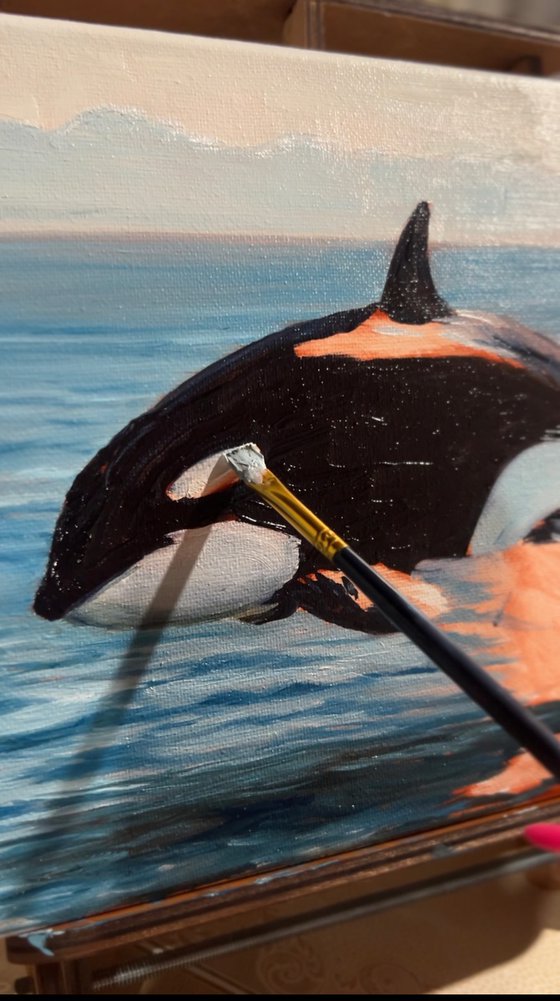 Orca’s Jump