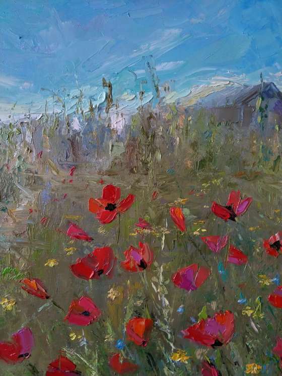 Field of poppies(40x50cm, oil painting, impressionistic)