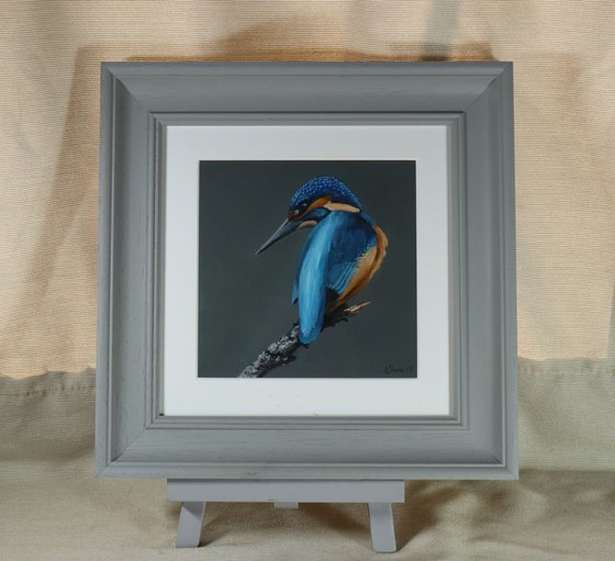 Kingfisher, Bird Artwork, Animal Art Framed