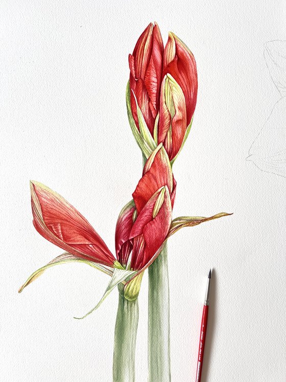 Algorithms of flowering.