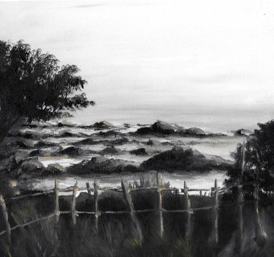 Landscape / Rocky Terrain