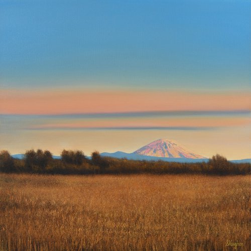 Mountain Wheat Field - Blue Sky Golden Field Landscape by Suzanne Vaughan